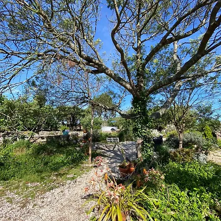 Nocleg ze śniadaniem Casinha De Chanca, Rabacal Chanca (Coimbra)