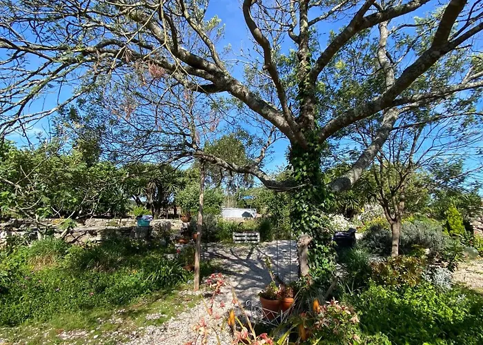 Bed and Breakfast Casinha De Chanca, Rabacal Chanca (Coimbra)